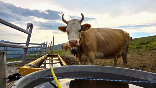Face au risque de sécheresse dans le Chablais,  le Valais veut muscler sa stratégie eau 